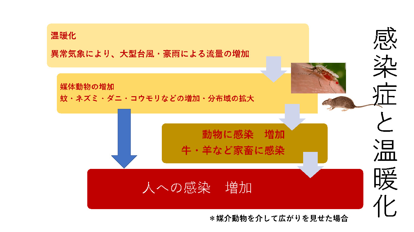 気候変動と感染症