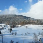 ドイツ「黒い森」から学ぶ！ 歴史的森林伐採～持続可能な森再生への歩み