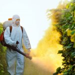 有機食品で体内の農薬が70%減少!多面的なオーガニック食品のベネフィット