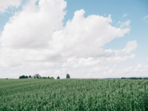 【メディア掲載】「Forbes JAPAN」で代表レムケなつこが取材を受けました